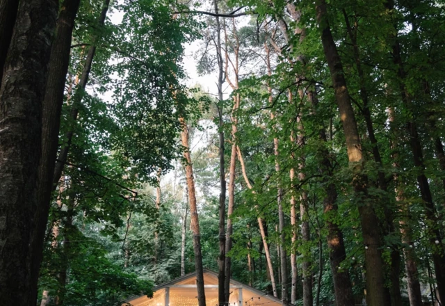 Усадьба Лесной Берег Белоснежная веранда с Усадьбой - фото 40
